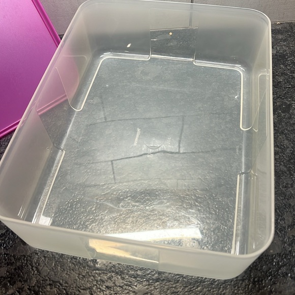 FREEZER MATES by Tupperware. Set of 2. Fuchsia and opaque. Very good condition - Picture 2 of 4